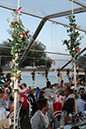 wedding (702)